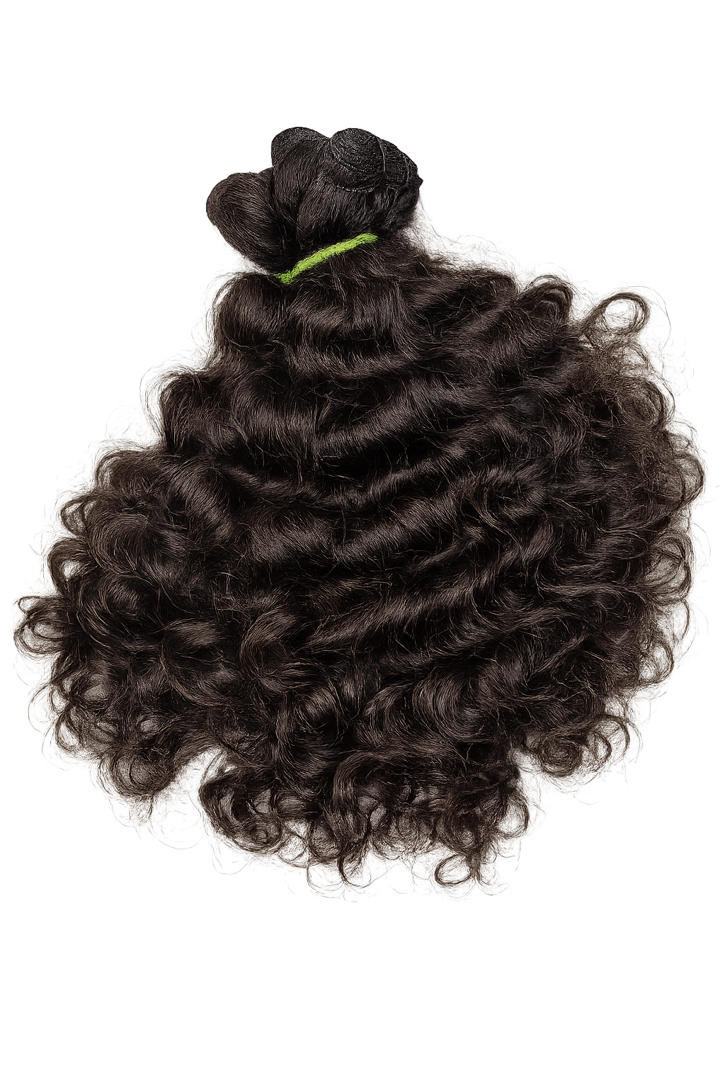 SEA CURLY